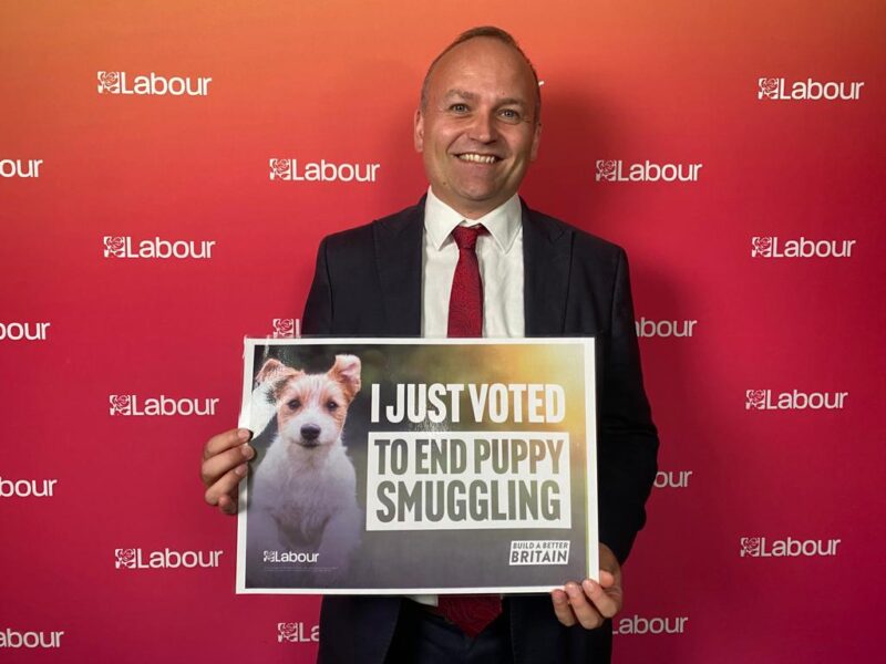 Neil Coyle Votes to End Puppy Smuggling